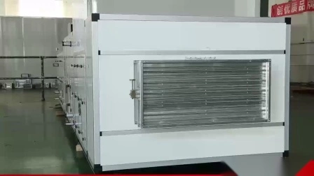 Automatischer Luftentfeuchter mit Trockenmittelrotor und niedriger Luftfeuchtigkeit